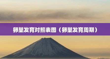 卵巢发育对照表图（卵巢发育周期）