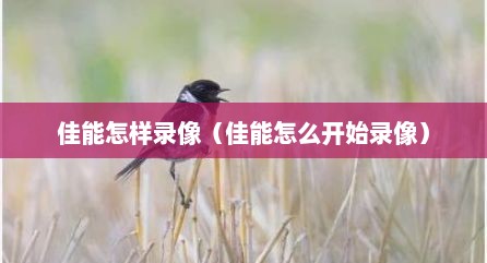 佳能怎样录像（佳能怎么开始录像）