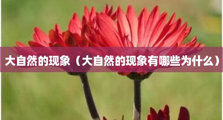 大自然的现象（大自然的现象有哪些为什么）