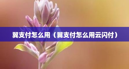 翼支付怎么用（翼支付怎么用云闪付）