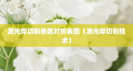 激光焊切割参数对照表图（激光焊切割技术）