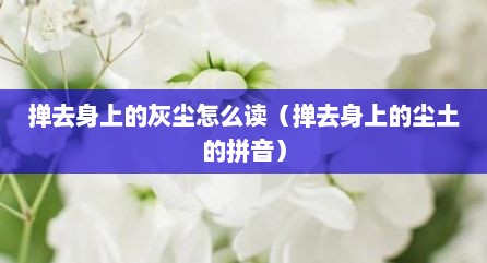 掸去身上的灰尘怎么读（掸去身上的尘土的拼音）