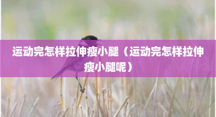 运动完怎样拉伸瘦小腿（运动完怎样拉伸瘦小腿呢）