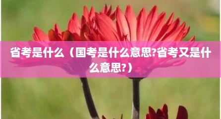 省考是什么（国考是什么意思?省考文是什么意思?）