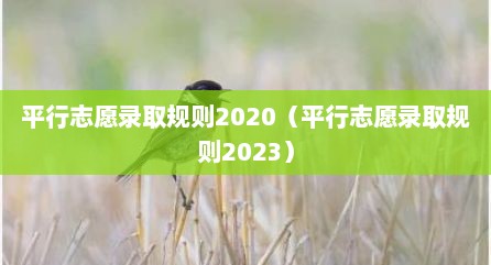 平行志愿录取规则2020（平行志愿录取规则2023）