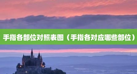 手指各部位对照表图（手指各对应哪些部位）
