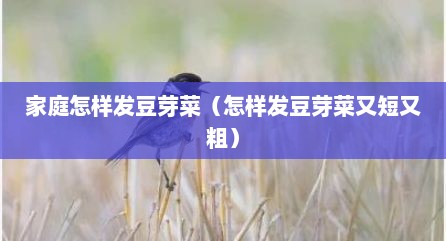 家庭怎样发豆芽菜（怎样发豆芽菜又短又粗）