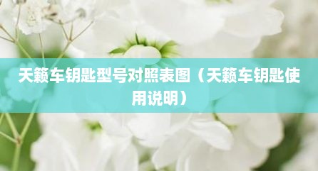 天籁车钥匙型号对照表图（天籁车钥匙使用说明）