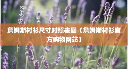 詹姆斯衬衫尺寸对照表图（詹姆斯衬衫官方购物网站）