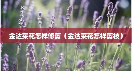 金达莱花怎样修剪（金达莱花怎样剪枝）