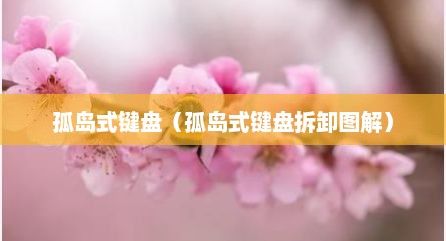 孤岛式键盘（孤岛式键盘拆卸图解）