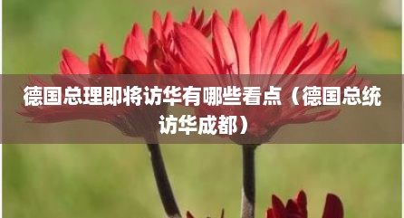 德国总理即将访华有哪些看点（德国总统访华成都）