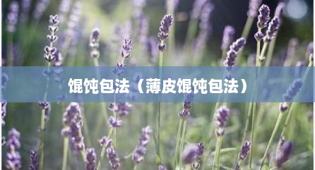 馄饨包法（薄皮馄饨包法）