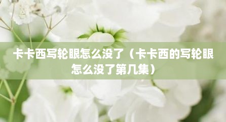 卡卡西写轮眼怎么没了（卡卡西的写轮眼怎么没了第几集）