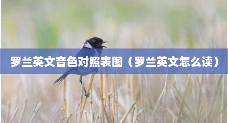 罗兰英文音色对照表图（罗兰英文怎么读）