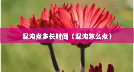 混沌煮多长时间（混沌怎么煮）
