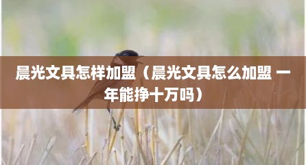 晨光文具怎样加盟（晨光文具怎么加盟 一年能挣十万吗）