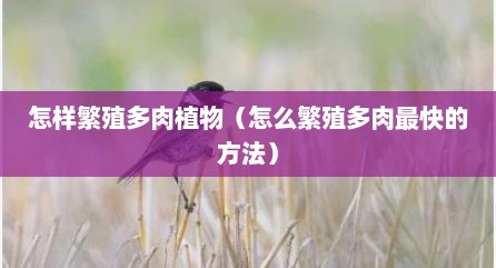 怎样繁殖多肉植物（怎么繁殖多肉最快的方法）