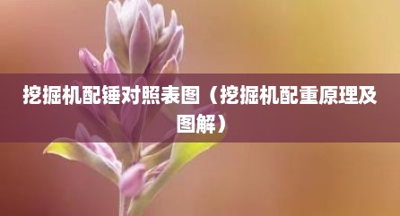 挖掘机配锤对照表图（挖掘机配重原理及图解）