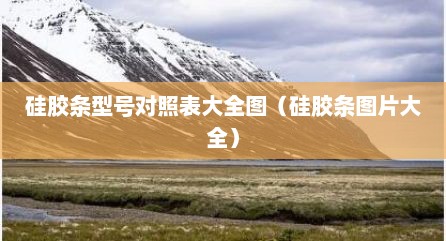 硅胶条型号对照表大全图（硅胶条图片大全）