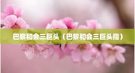 巴黎和会三巨头（巴黎和会三巨头指）