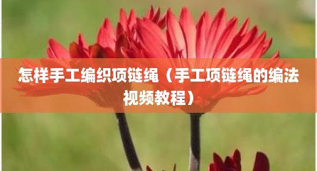 怎样手工编织项链绳（手工项链绳的编法视频教程）