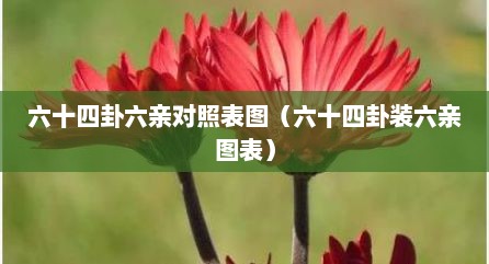 六十四卦六亲对照表图（六十四卦装六亲图表）
