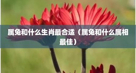 属兔和什么生肖最合适（属兔和什么属相最佳）