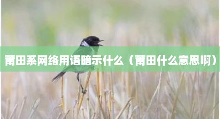莆田系网络用语暗示什么（莆田什么意思啊）