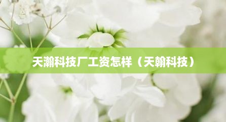 天瀚科技厂工资怎样（天翰科技）