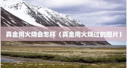 真金用火烧会怎样（真金用火烧过的图片）