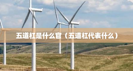 五道杠是什么官（五道杠代表什么）