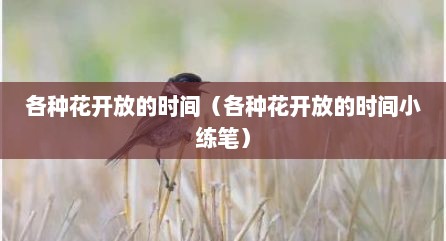 格种花开放的时间（格种花开放的时间小练笔）