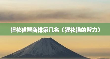 狸花猫智商排第几名（狸花猫的智力）