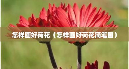 怎样画好荷花（怎样画好荷花简笔画）