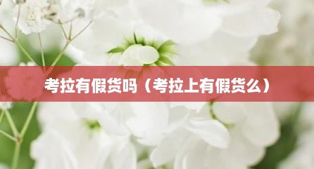考拉有假货吗（考拉上有假货么）