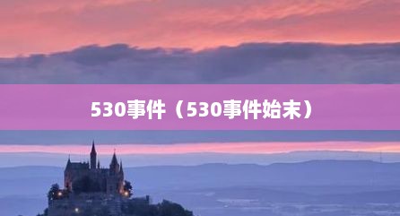 530事件（530事件始末）