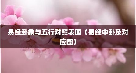 易经卦象与五行对照表图（易经中卦及对应图）
