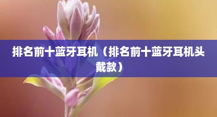 排名前十蓝牙耳机（排名前十蓝牙耳机头戴款）