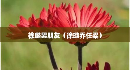徐璐男朋友（徐璐乔任梁）