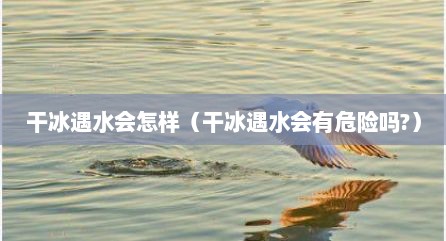 干冰遇水会怎样（干冰遇水会有危险吗?）