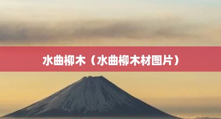 水曲柳木（水曲柳木材图片）