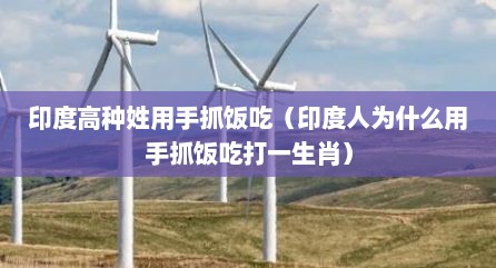 印度高种姓用手抓饭吃（印度人为什么用手抓饭吃打一生肖）