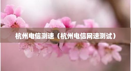 杭州电信测速（杭州电信网速测试）