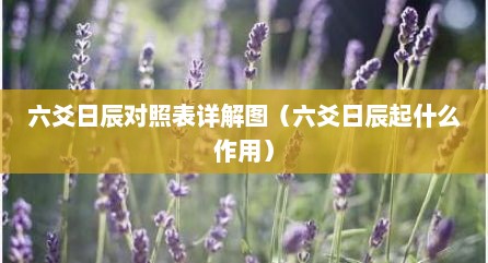 六爻日辰对照表详解图（六爻日辰起什么作用）