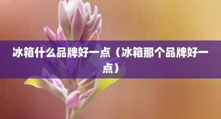 冰箱什么品牌好一点（冰箱那个品牌好一点）