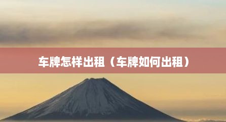 车牌怎样出租（车牌如何出租）