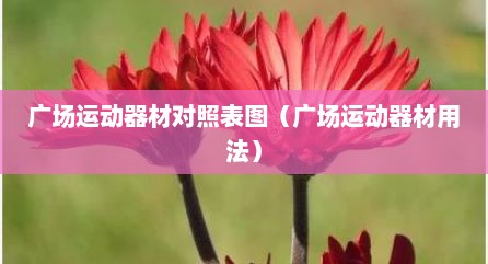 广场运动器材对照表图（广场运动器材用法）