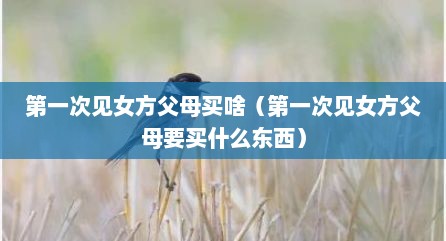 第一次见女方父母买啥（第一次见女方父母要买什么东西）
