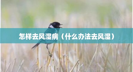 怎样去风湿病（什么办法去风湿）
